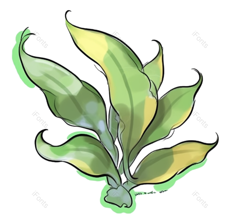 叶子图片,装饰元素,金融PNG,母亲节免抠素材